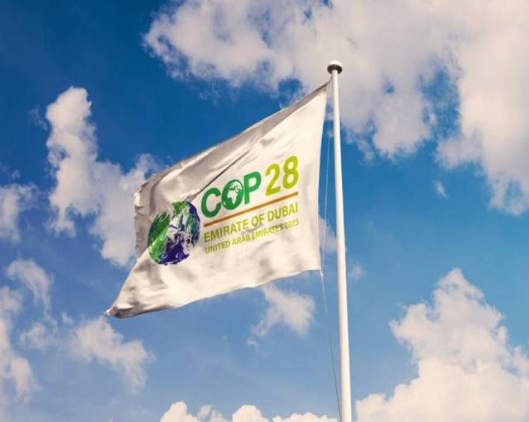 Cúpula Climática COP28: urgência para ação global com foco na equidade – considerações sobre saúde e papel do Brasil