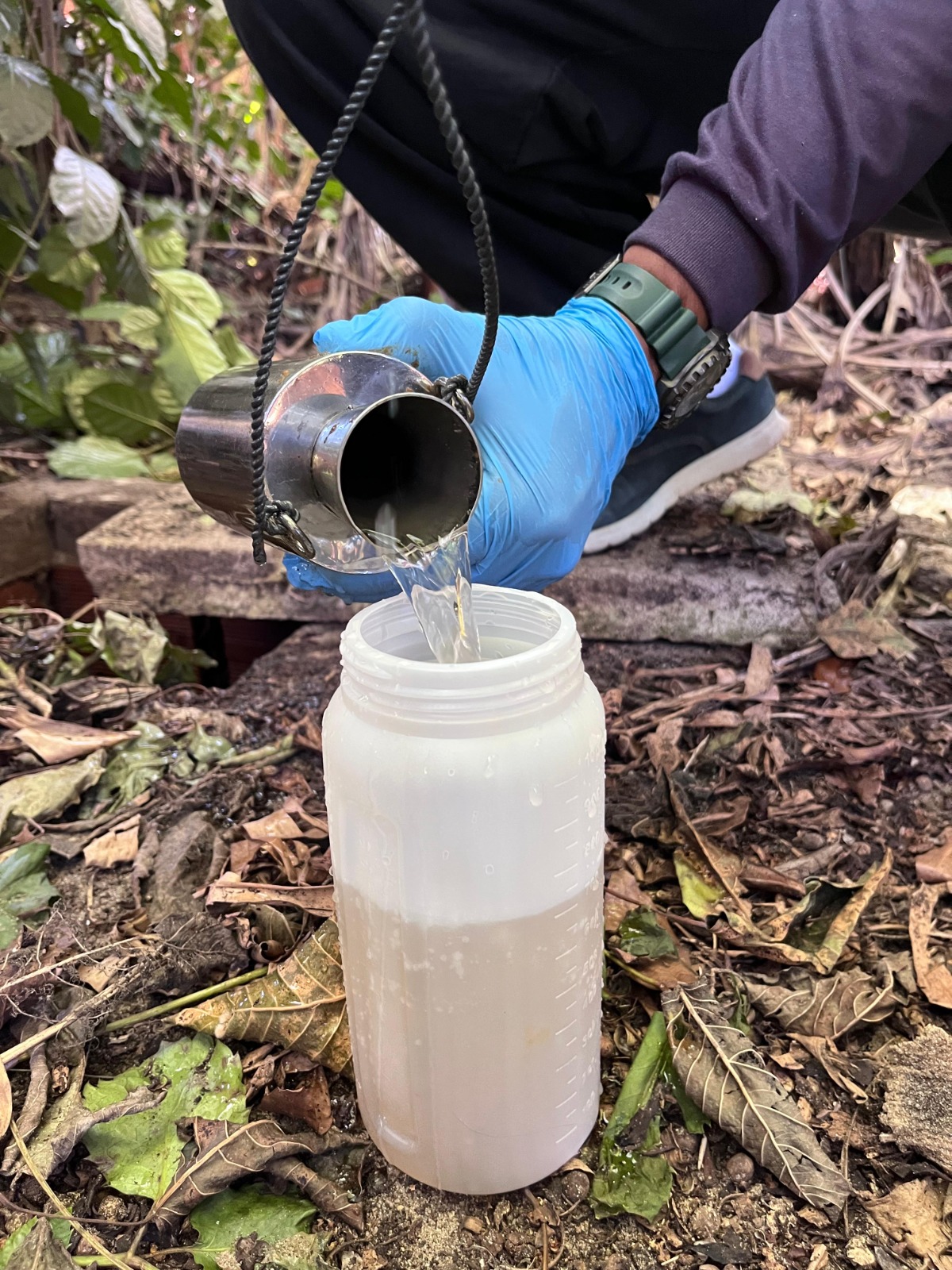 Trabalho de campo 3