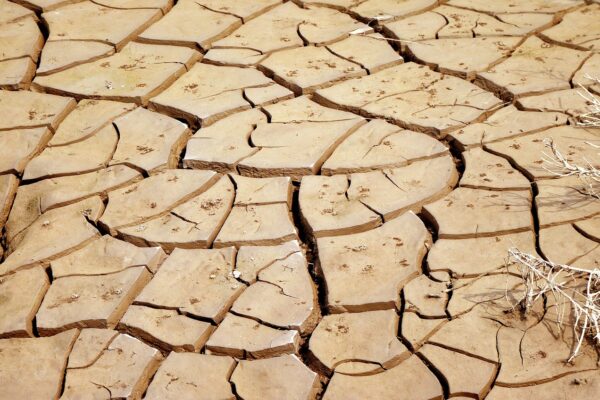 drought, weather, climate change, earth, dry, soil, temperature, climate change, climate change, climate change, climate change, climate change