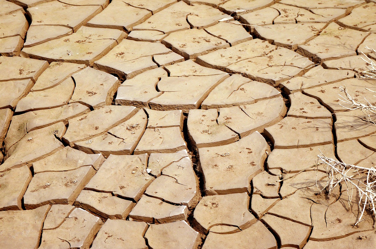 drought, weather, climate change, earth, dry, soil, temperature, climate change, climate change, climate change, climate change, climate change