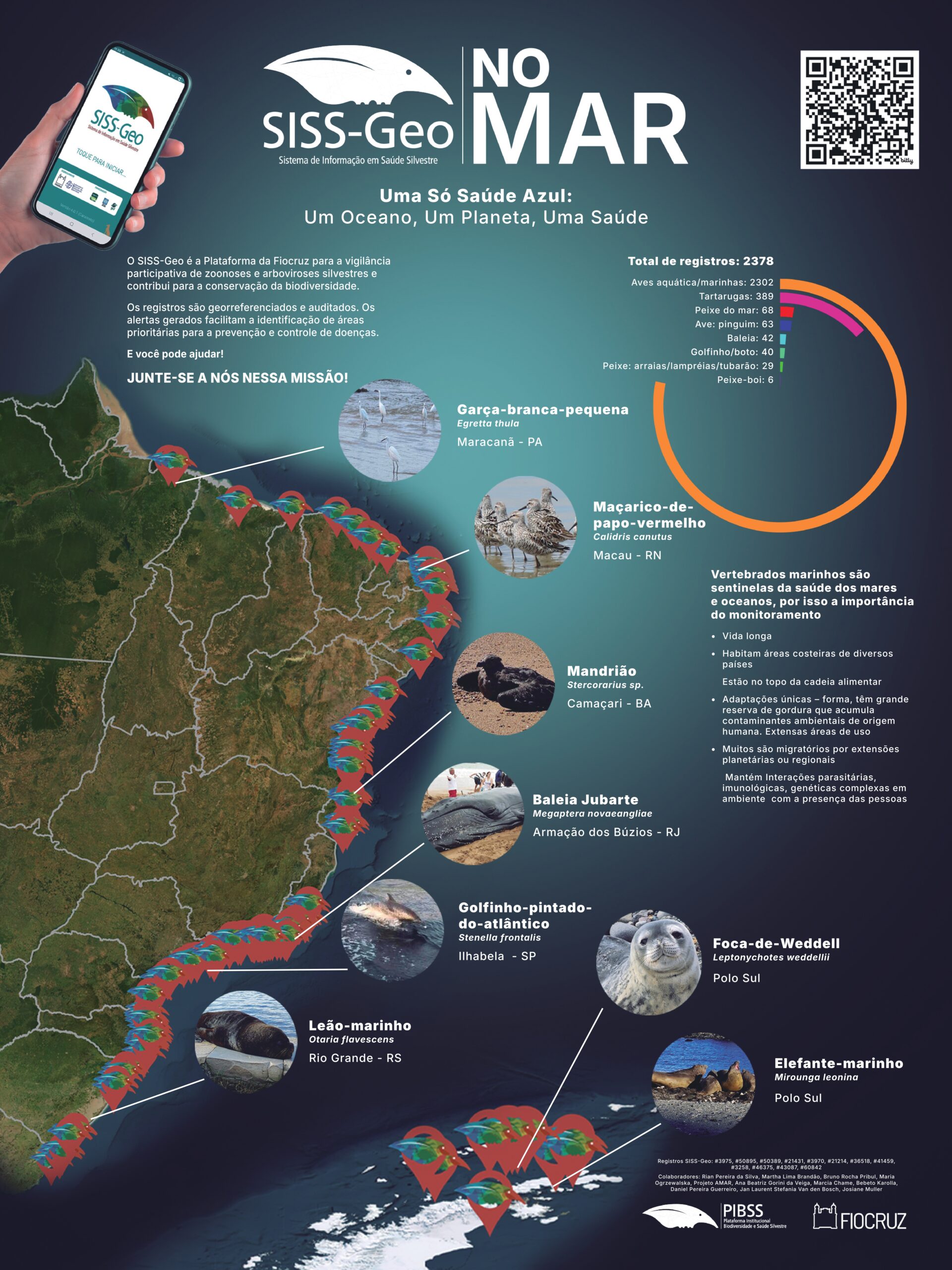 Visualização do PDF